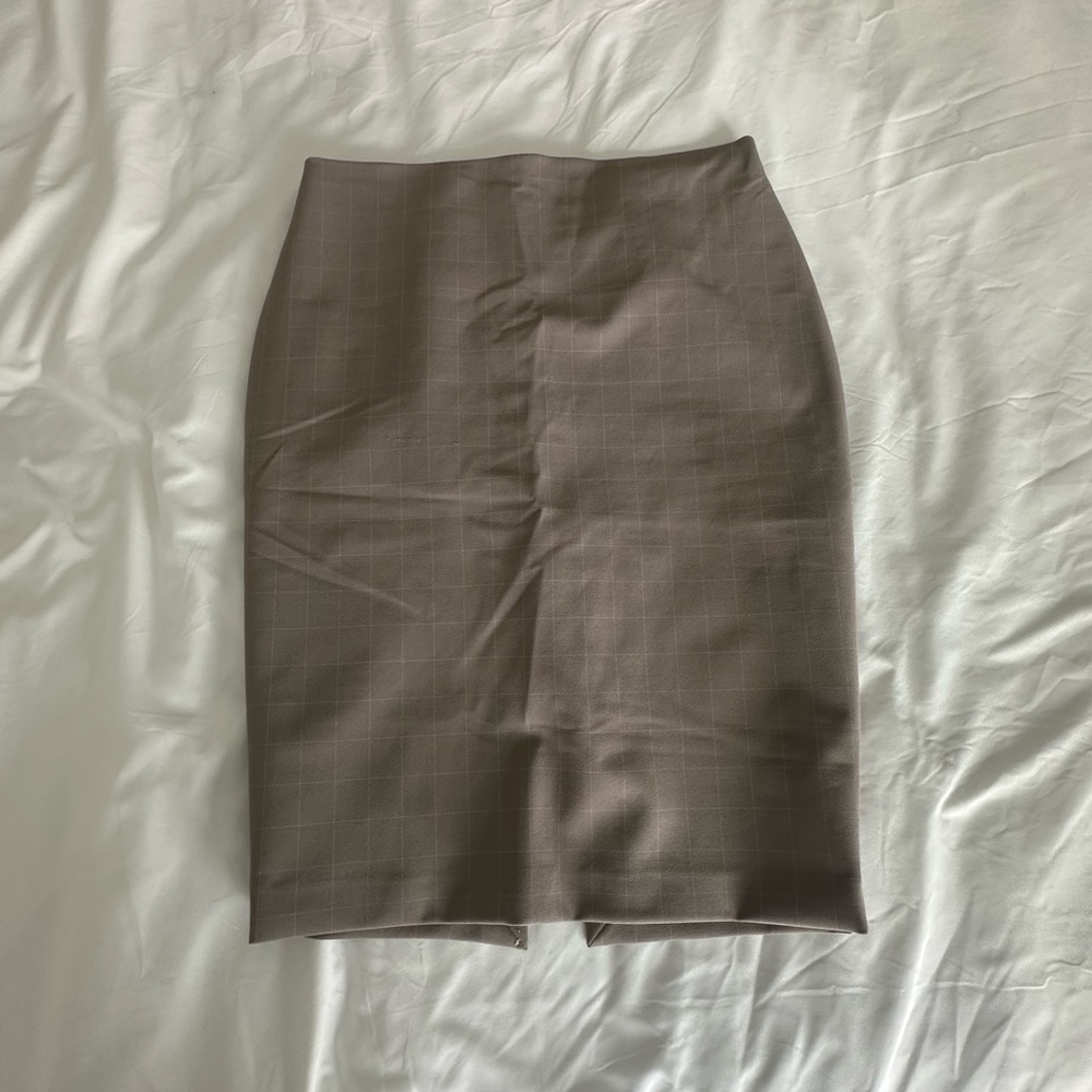 Express Pencil Skirt